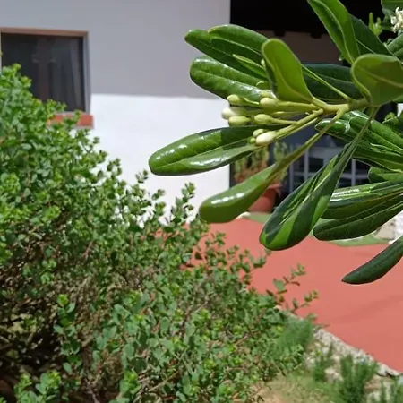 La Maisonette * Sant'Andrea (Sardinia)