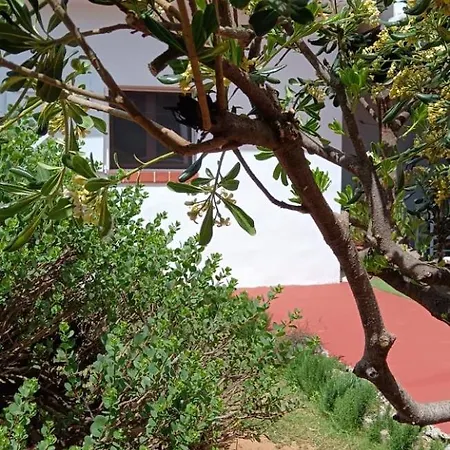 Tatil Evi La Maisonette Sant'Andrea (Sardinia)