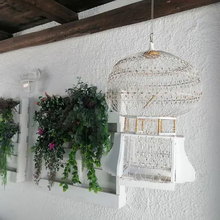 La Maisonette Tatil Evi Sant'Andrea (Sardinia)