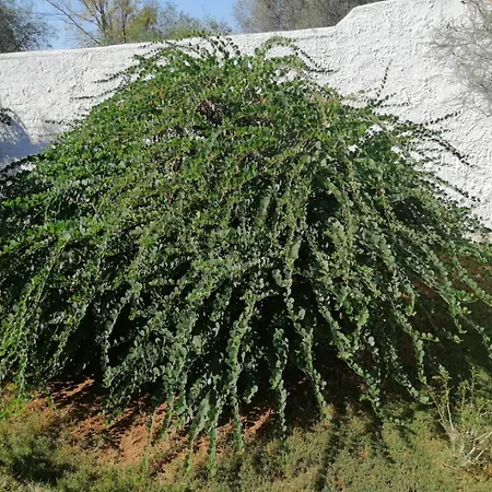 La Maisonette * Sant'Andrea (Sardinia)